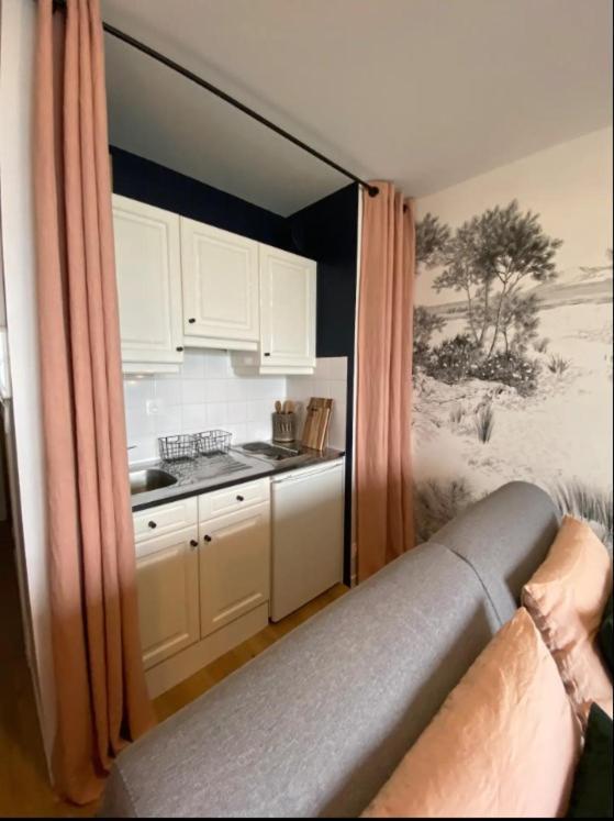 Apartment Rosa*studio *belle Vue Mer*dinard* *